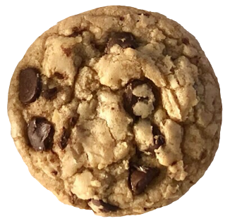 chocolate chip cookie